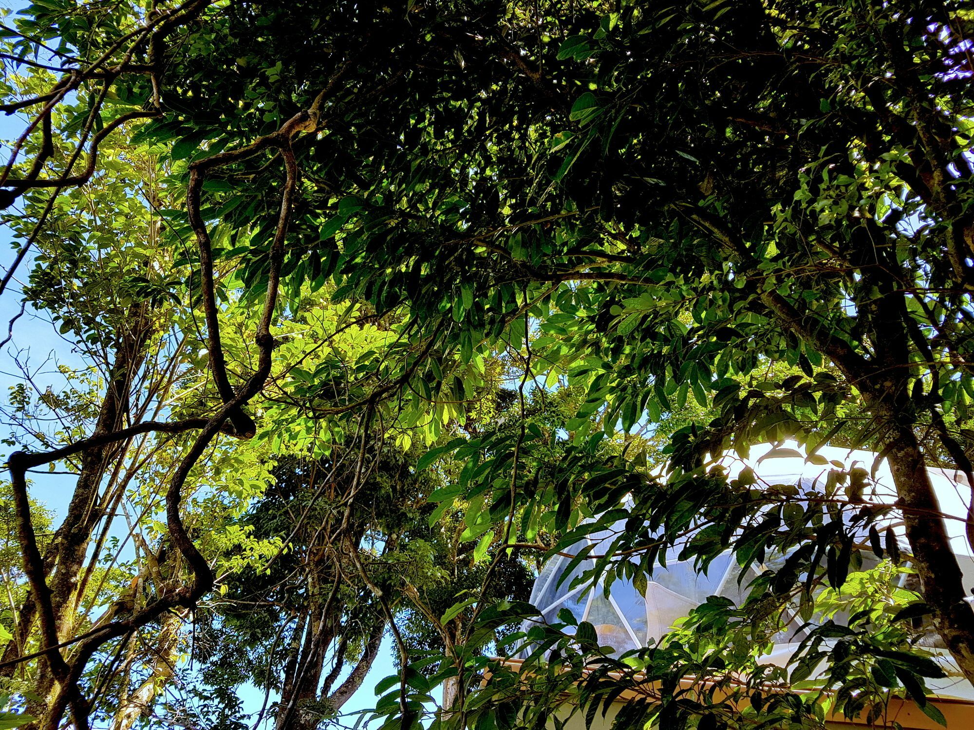 Chira Glamping Resort Monteverde Exterior foto